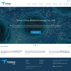Terns China网站设计