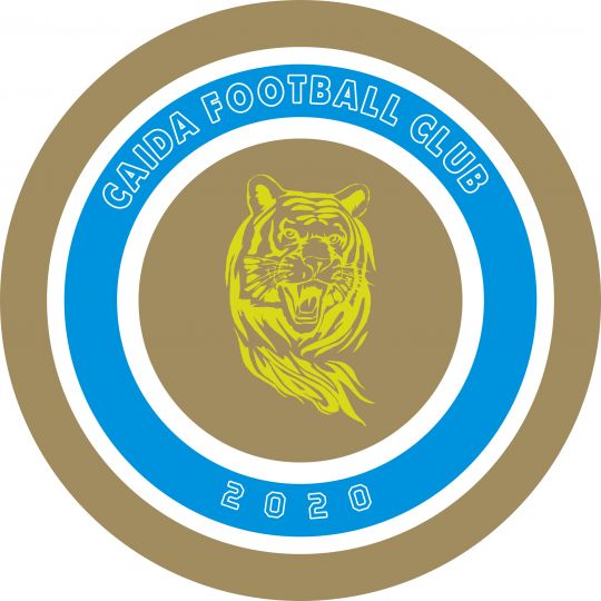 财达足球俱乐部队徽