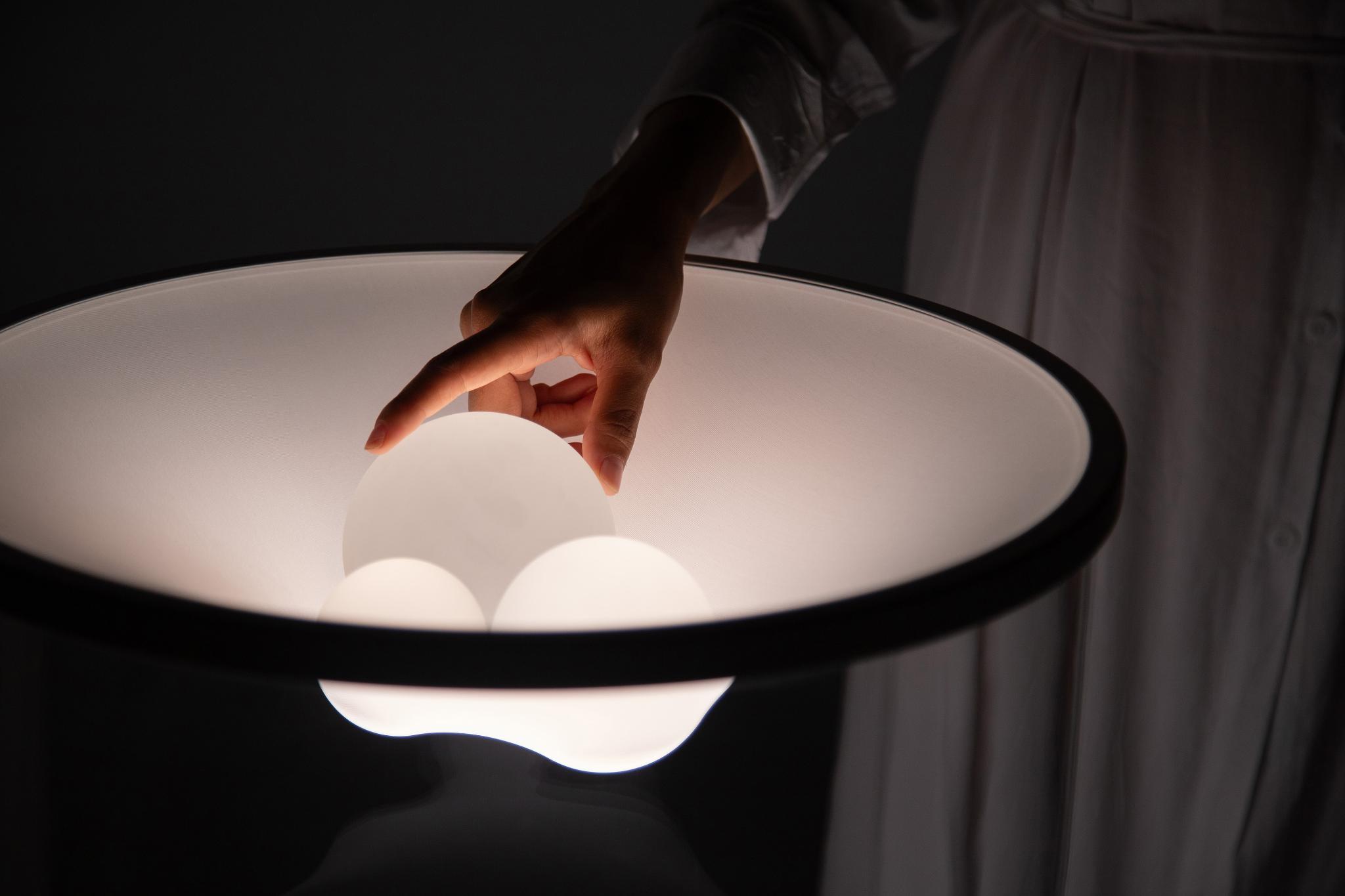 Grammoluce 4.jpg Grammoluce 4.jpg