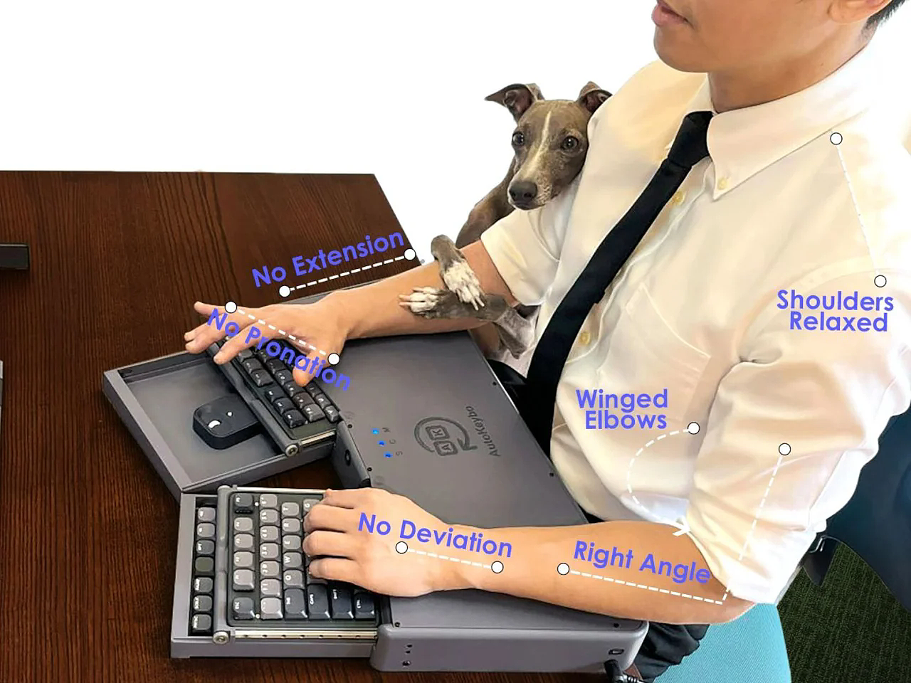 ab7028d1615586a4f96517085ca48780.png ab7028d1615586a4f96517085ca48780.png