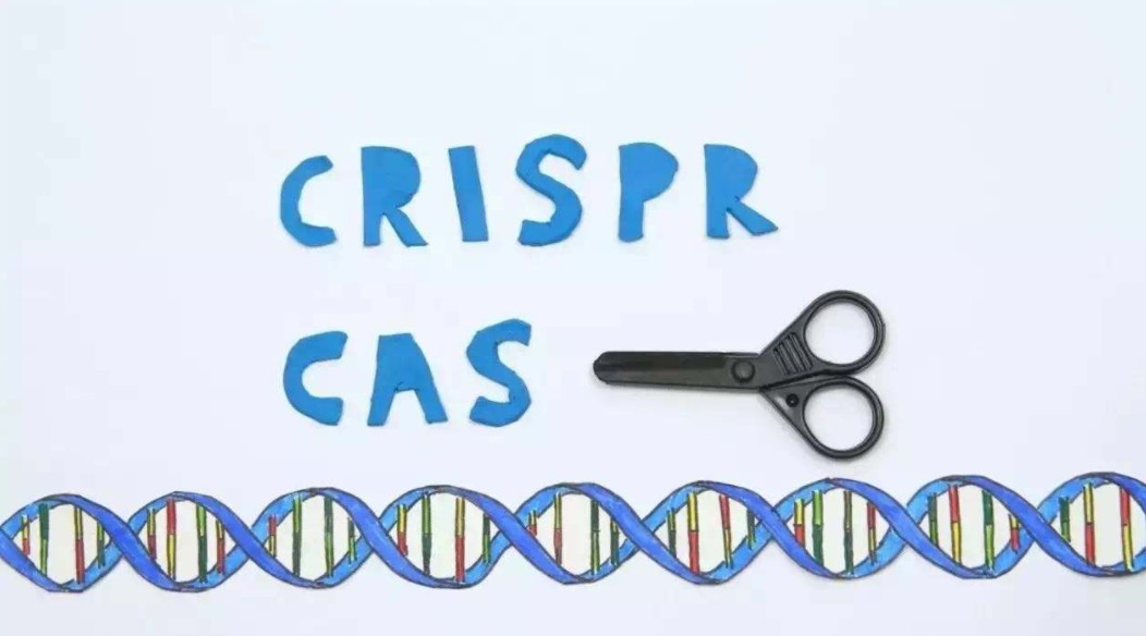 设计一个完美的婴儿，霍金的遗言难道要成真了？