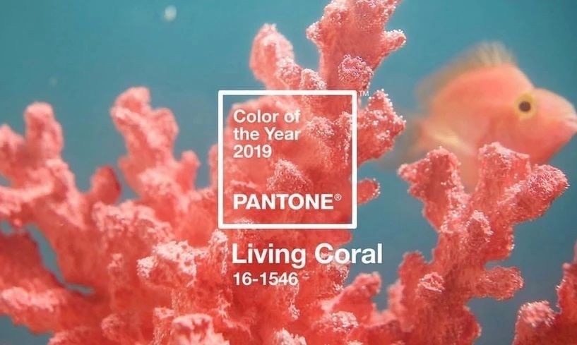 Pantone发布2019年流行色“珊瑚橙”,这果真会是“黄皮肤”的灾难吗？