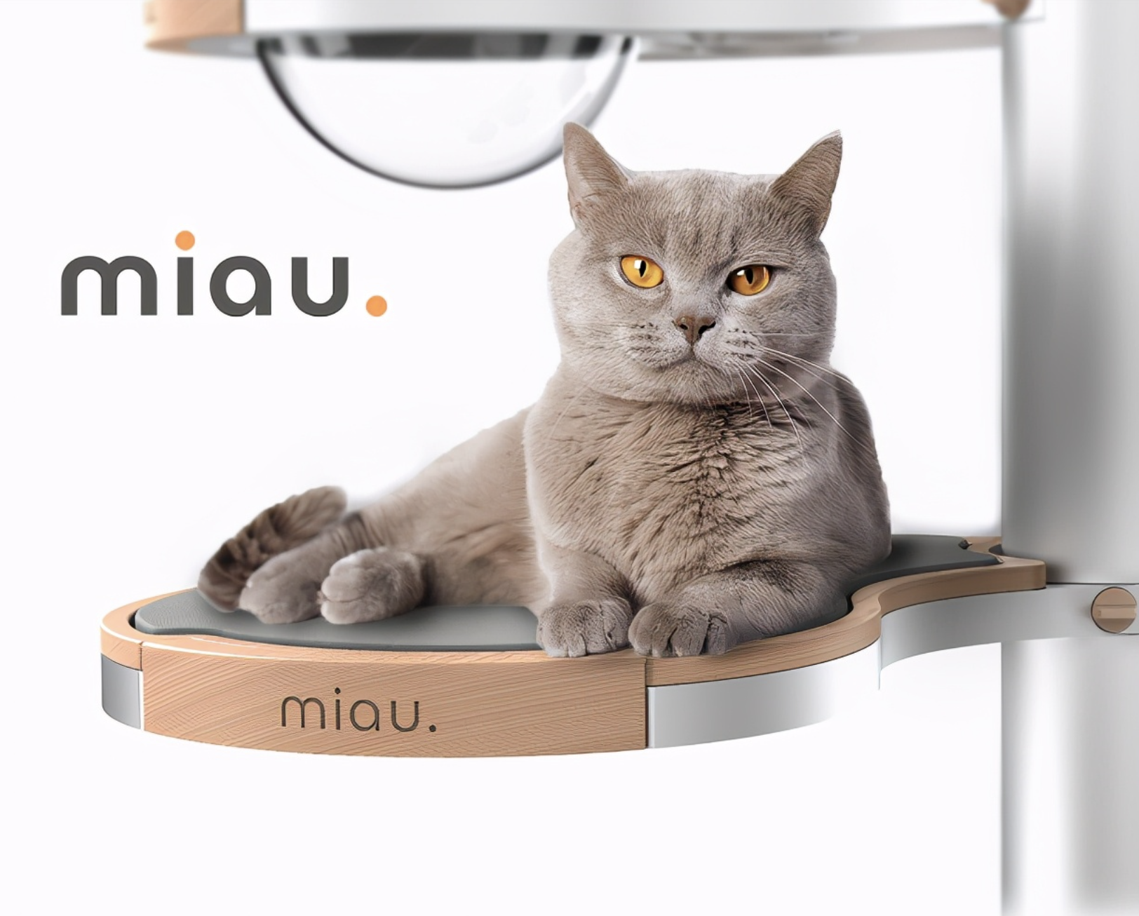 来自铲屎官设计师：为猫咪而做的设计