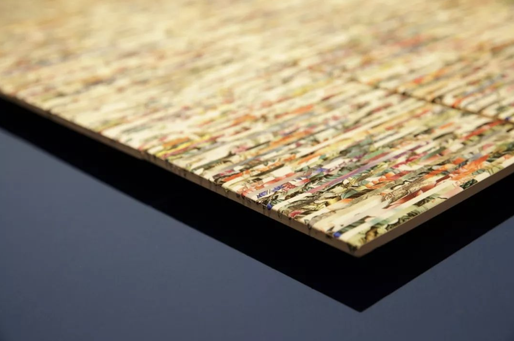 CMF实验室 | 探寻建筑与生态的边界