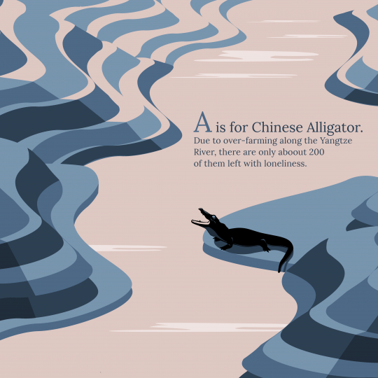 Alligator Poster 