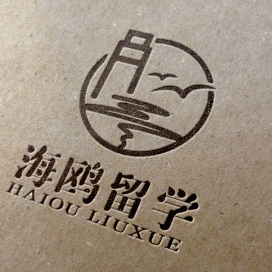 《海鸥留学》留学机构LOGO设计