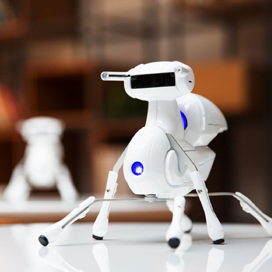 【机器人】智位蚂蚁机器人