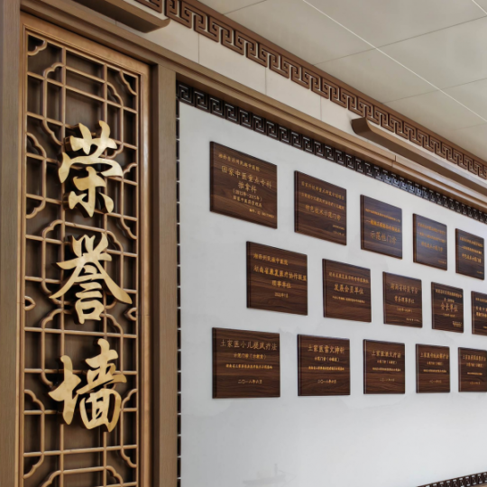 医院中医文化氛围设计【梅奥艺术】​湘西州民族中医院医院文化墙设计案例