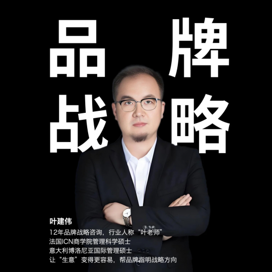 上海品牌战略规划专家-叶老师（欢迎咨询）